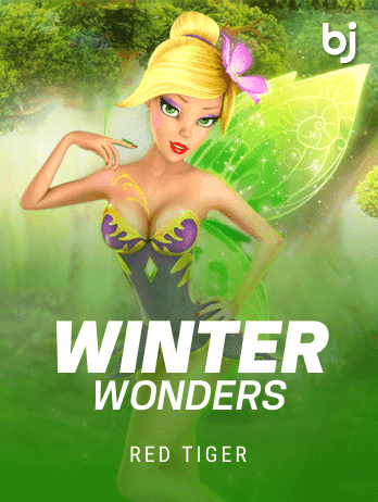 WinterWonderspng game icon